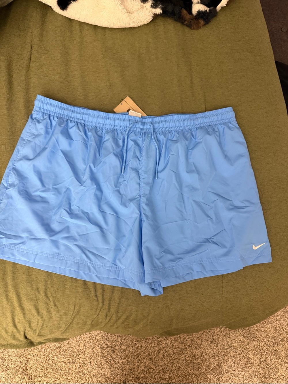 Nike Womens Sky Blue Athletic Shorts with Swoosh